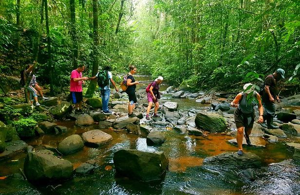 Sri Lanka Sinharaja Rain Forest Tour with Transport 