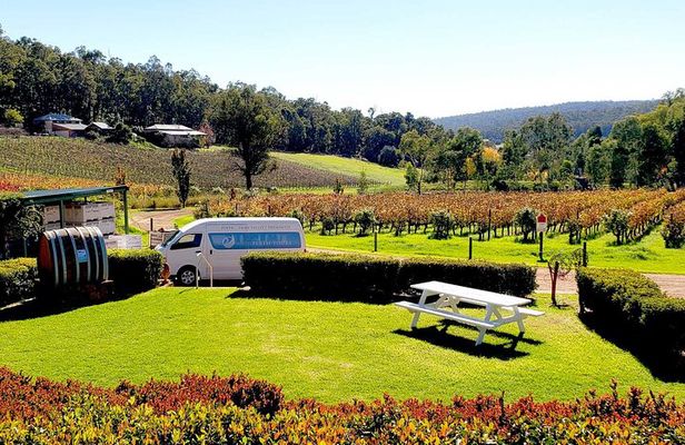 Bickley Valley Wine, Cider & Gin Tour - Premium Small Group Tour
