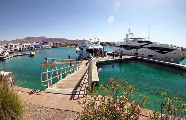 Take advantage of a half-day boat dive experience in Red sea of Aqaba.