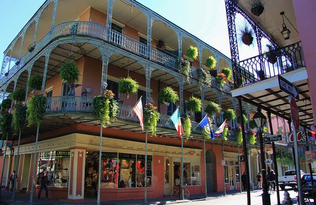 New Orleans Private City and Cemetery Tour - Up to 24 Passengers