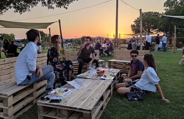 Private Tasting of Organic Wines in the Cellar in Mugliano
