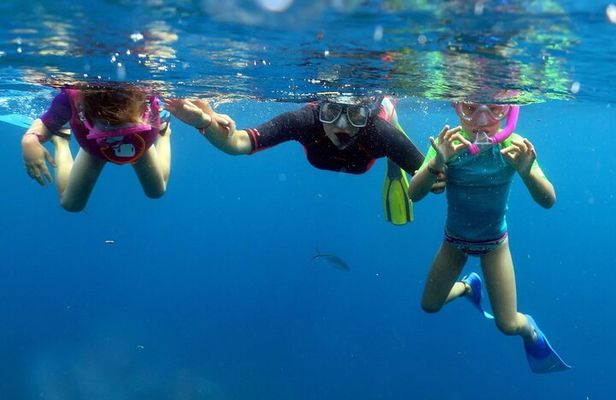 Fantastic Catalina island, beach and depth