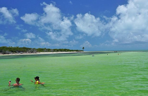 Key West Sandbar Excursion & Island Adventure Cruise
