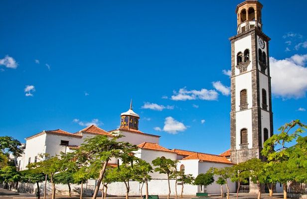 6 Hrs Private Tour In Tenerife