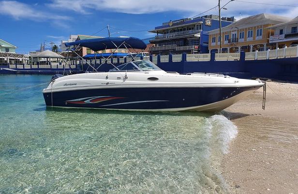 Full-Day Private Stingray City Snorkeling and Starfish Beach Tour