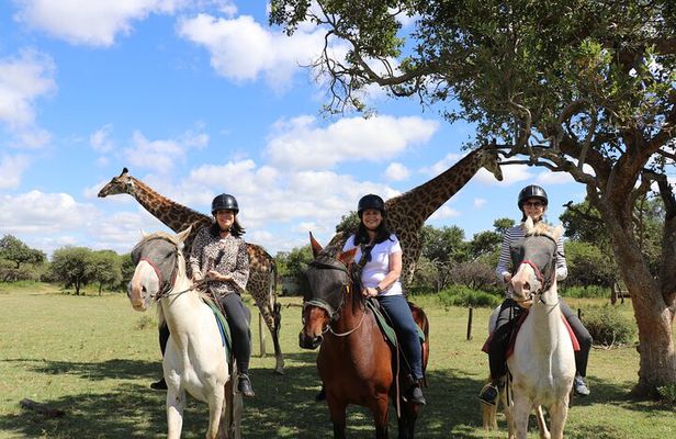 Horseback Safari Adventure in Hartbeespoort from Johannesburg