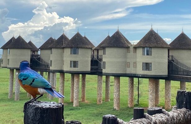 Private Tsavo East Tour