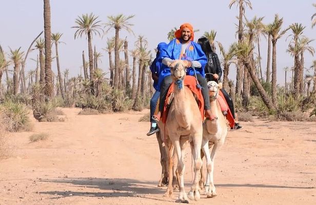 Camel ride in the palm grove of Marrakech