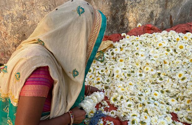 Private Half-Day Delhi Flower Market Tour