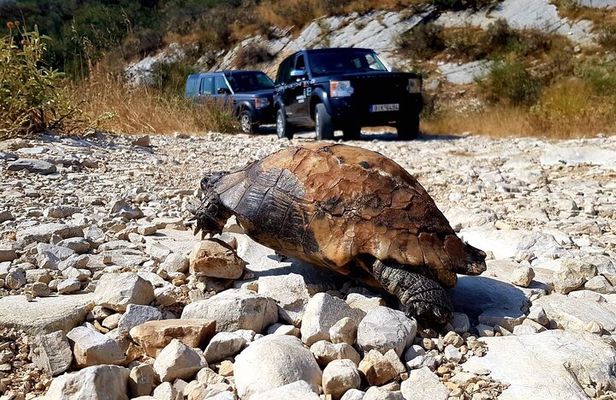 Northwest Corfu 4x4 Coastal Dreams & Village Charms Experience