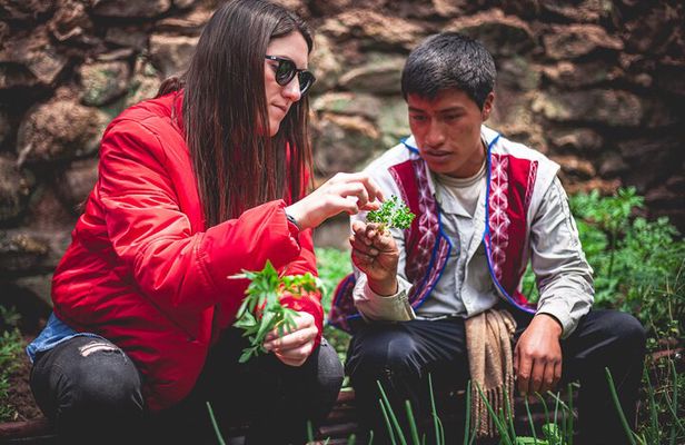 Personalized Journey in Peru