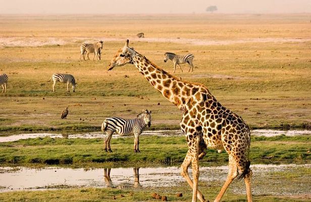 Nairobi National Park Group Tour