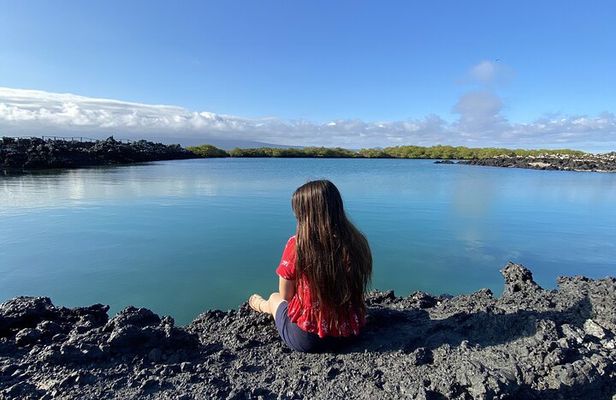 Snorkeling and Fauna Observation at Las Tintoreras Islet