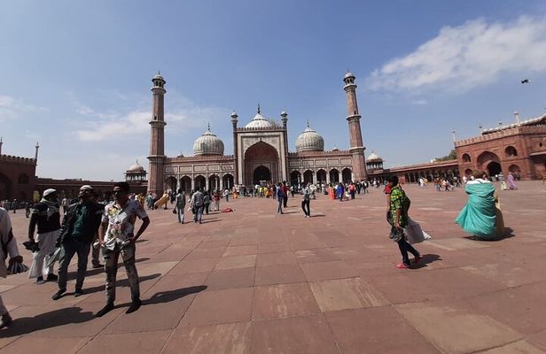 Delhi City Full Day Tour Including All Entrance Fees