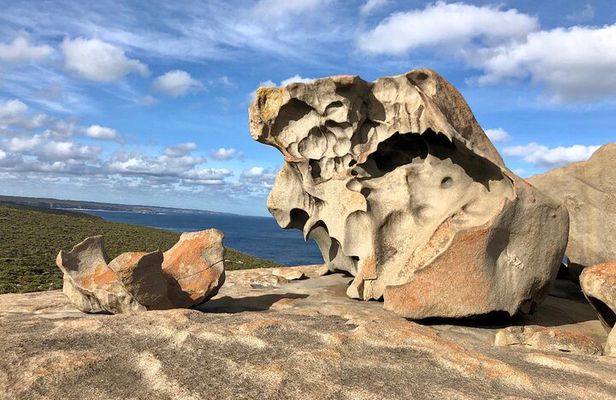 EV Island Explorer Tours