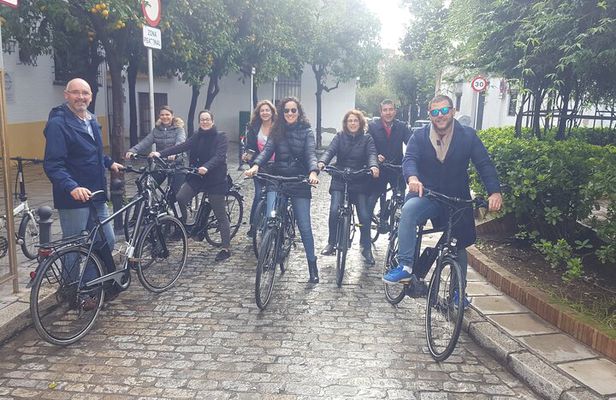 Guided Bike Tour of Seville with a Certified Guide