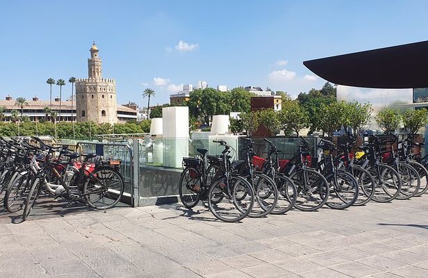 Guided Electric Bicycle Tour of Seville