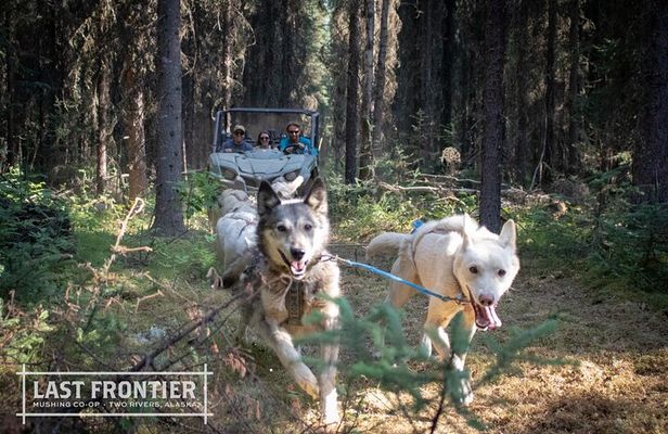 Summer Mushing Cart Ride & Kennel Tour