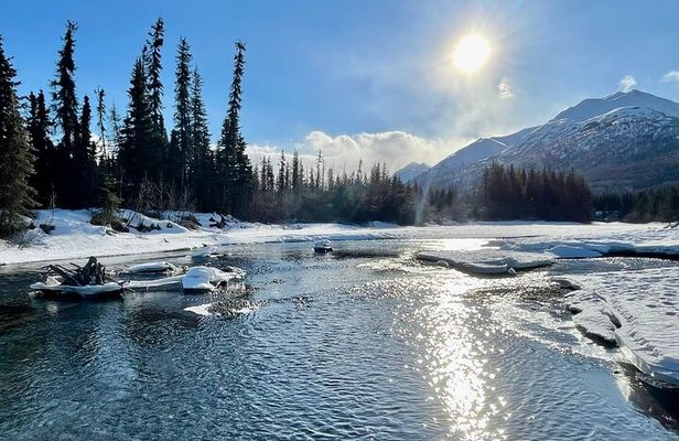 Winter Valley and Forest Hike