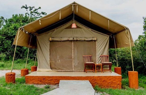 4 Days great of Maasai Mara Lake Nakuru joining safari