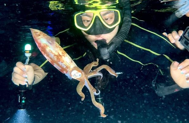 Night Snorkeling - Observation of octopus and other species