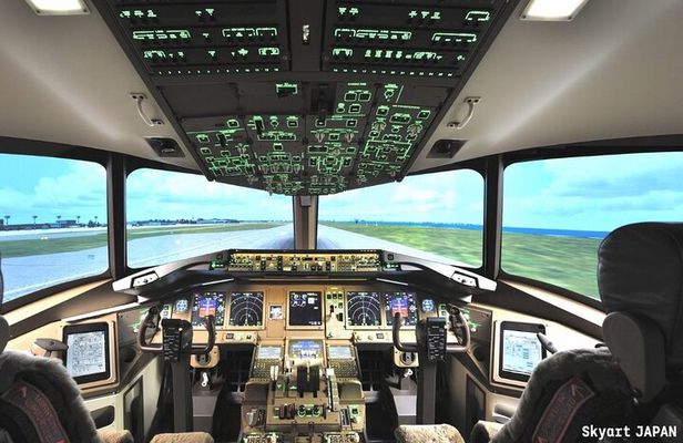 Flight simulation in the real cockpit 70 minutes of real experience!Plane lovers must see