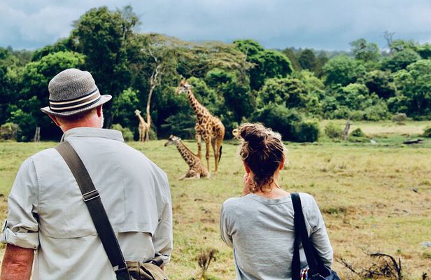 Private Day Trip to Arusha National Park with a Walking Safari