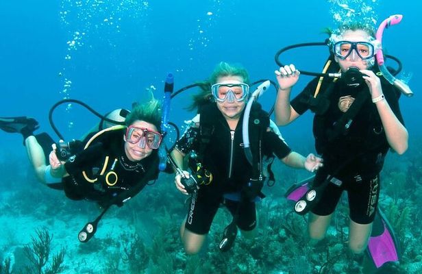 Fujairah: PADI Basic Scuba Diver Course