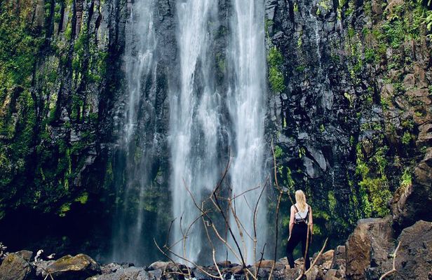 Private Day Trip to Materuni Waterfall and Coffee Tour 