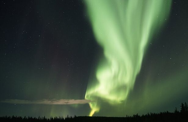 Aurora Hunting Photo Tour from Rovaniemi with Pickup