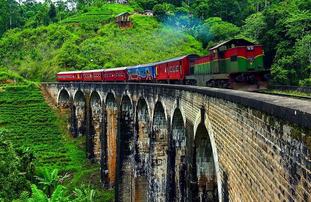 Round tour in Sri Lanka 11daysby Aaliya Tours-Hotels with H/B