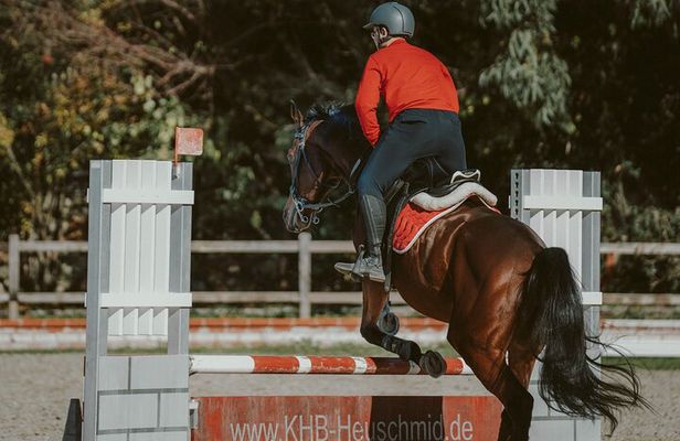 Equestrian Experience with Horses from Marmaris