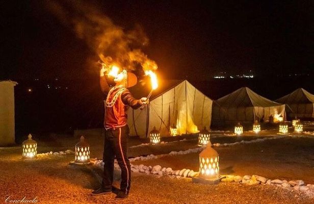 Desert D'Agafay Package - Quad, Dromedary and Dinner Show