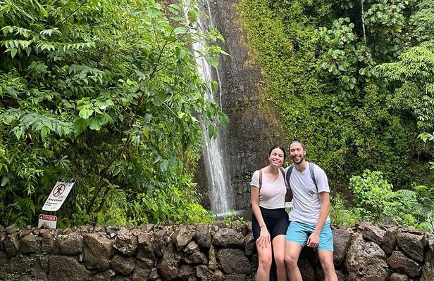 Oahu: Manoa Falls Rainforest Self-Guided Hike