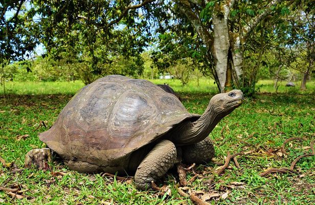 Galapagos Multisport Expedition 8 days