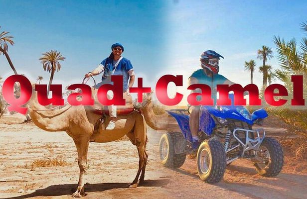 Quad palmeraie Marrakech et balade chameau transport inclus