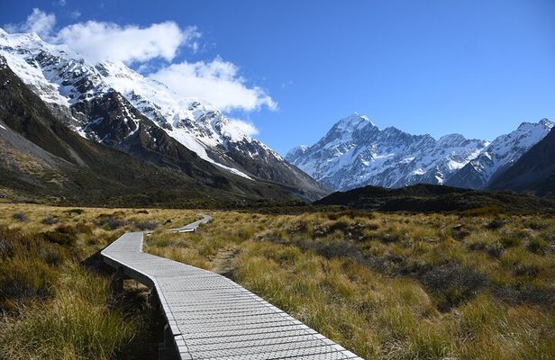 Mt Cook Small Group Day Tour via Lake Tekapo From Christchurch