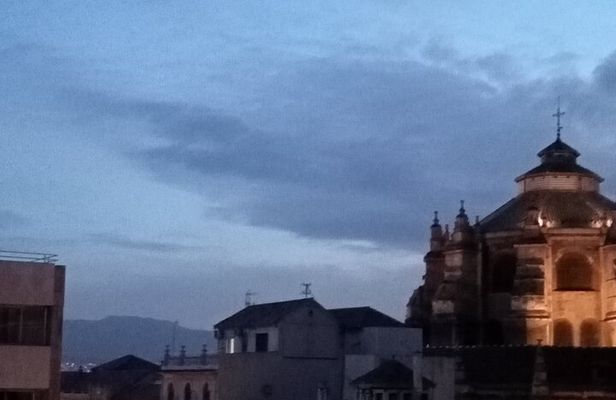 Guided Walking Tour with Panoramic Views and Terraces of Granada
