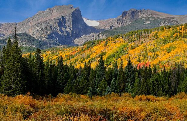 Half-Day Rocky Mountain National Park "Mountains to Sky Tour" - RMNPhotographer