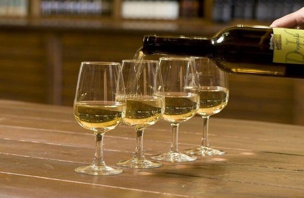 Full-Day Wine Tasting Tour in Athens with Visit to Cape Sounio
