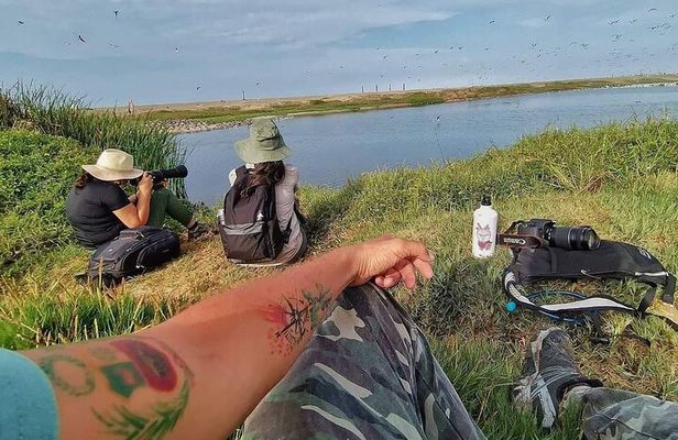 Half-Day Private Birdwatching Tour in Lima