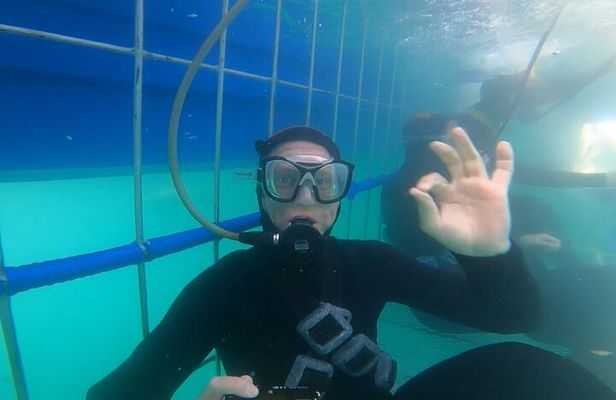 Guided Shark Cage Diving with Hookah Air Supply in Gansbaai
