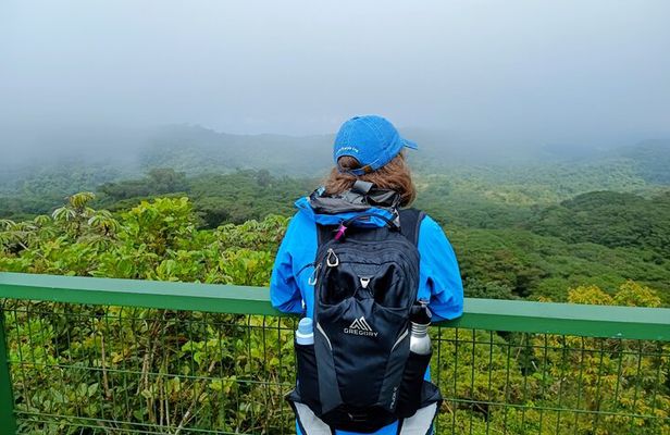 Private Guided Walk to the Santa Elena Cloud Forest Reserve