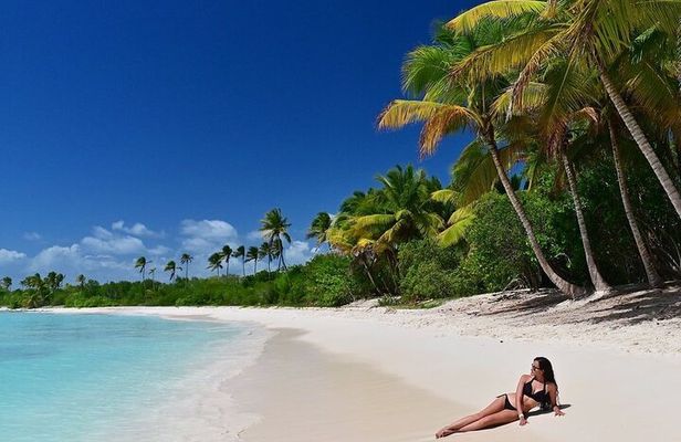 Saona Island, memorable all-inclusive experience, from Santo Domingo.