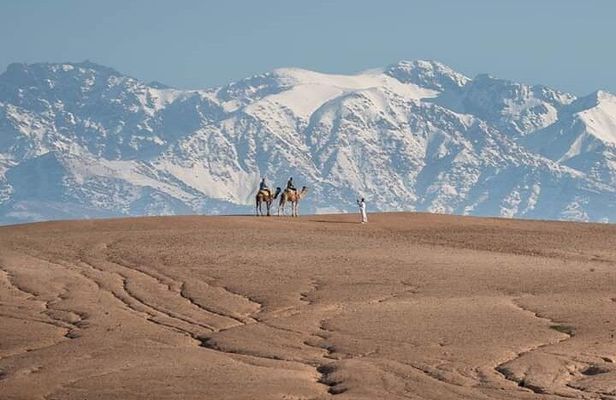 Marrakesh: High Atlas, Agafay desert and Waterfalls Tour