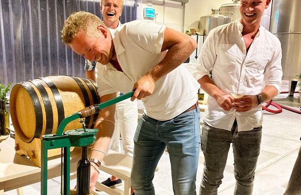 Authentic experience in organic winery