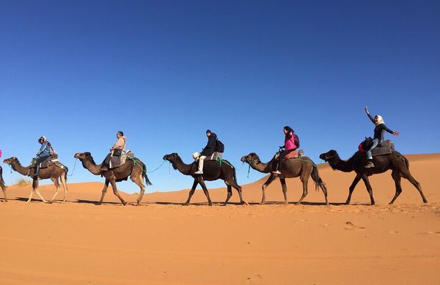 Sahara Desert + Atlas Mountains Tour - 3 Days 2 Nights - Fez to Marrakech