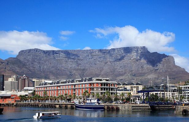 Full Day Private Tour to Cape of Good Hope & penguins Cape Point