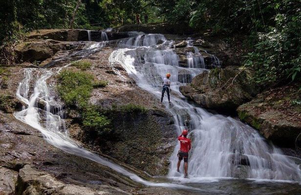 Jungle Zipline & Waterfall Rappelling - Bocawina Falls