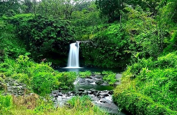 Rainforest Tour to Hana and Beyond